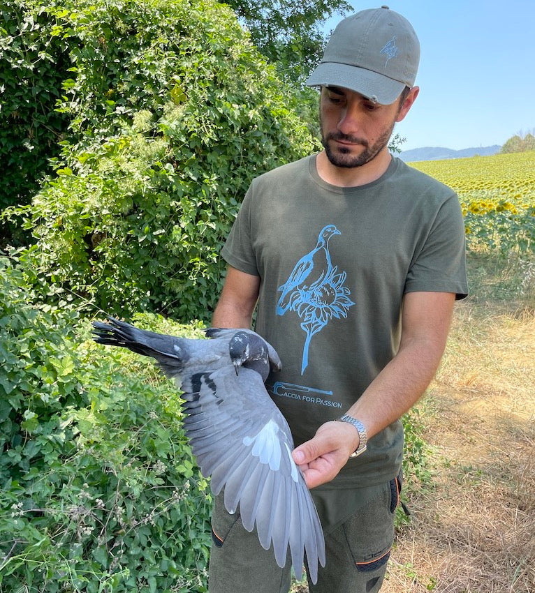 CACCIA AL COLOMBACCIO WOODPIGEON HUNTING